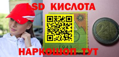 прущие крисы Моздок