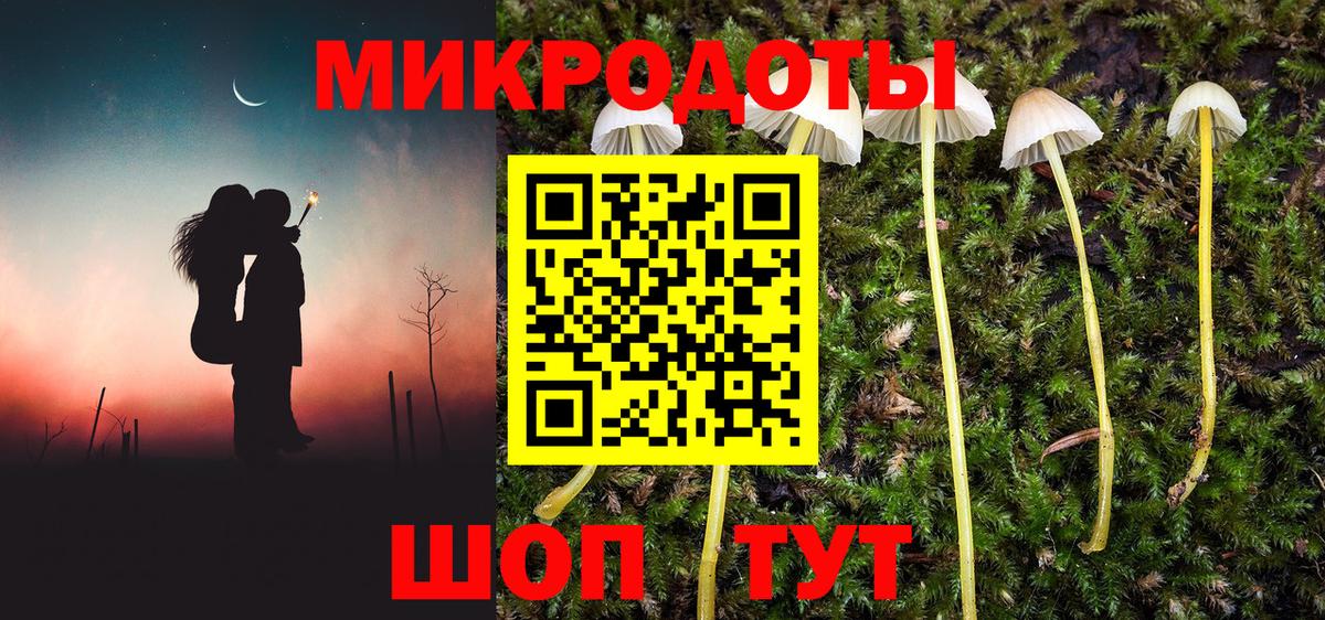 Галлюциногенные грибы ЛСД Тверь