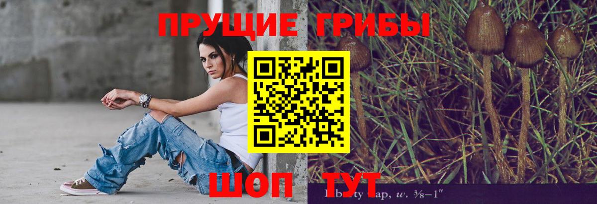 Псилоцибиновые грибы Cubensis  Вход с VPN  Галлюциногенные грибы Magic Shrooms  Тверь 